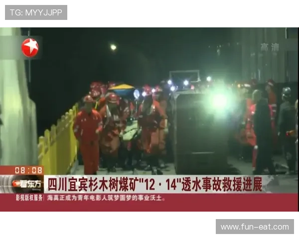 事态升级葡国介入普雷调查事件